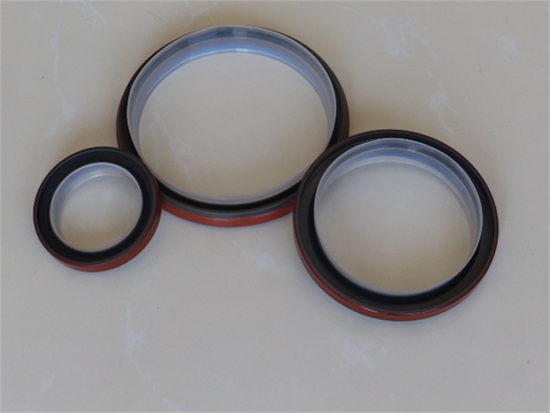 PTFE stainless steel oil seal